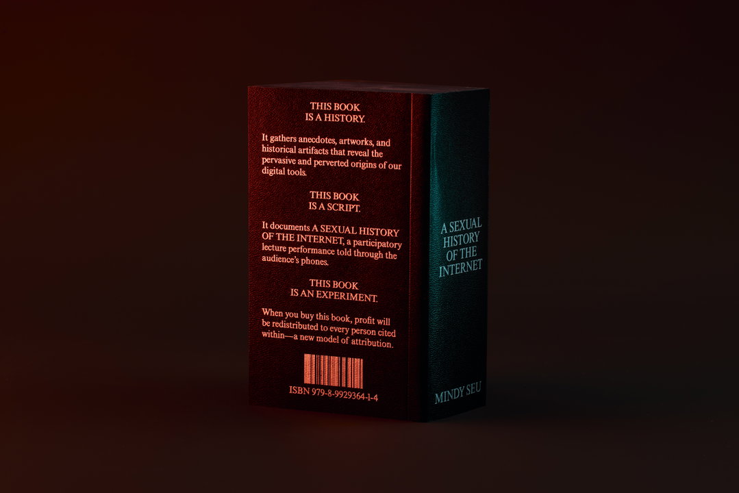 mindy-seu-laura-coombs-a-sexual-history-of-the-internet-publication-graphic-design03