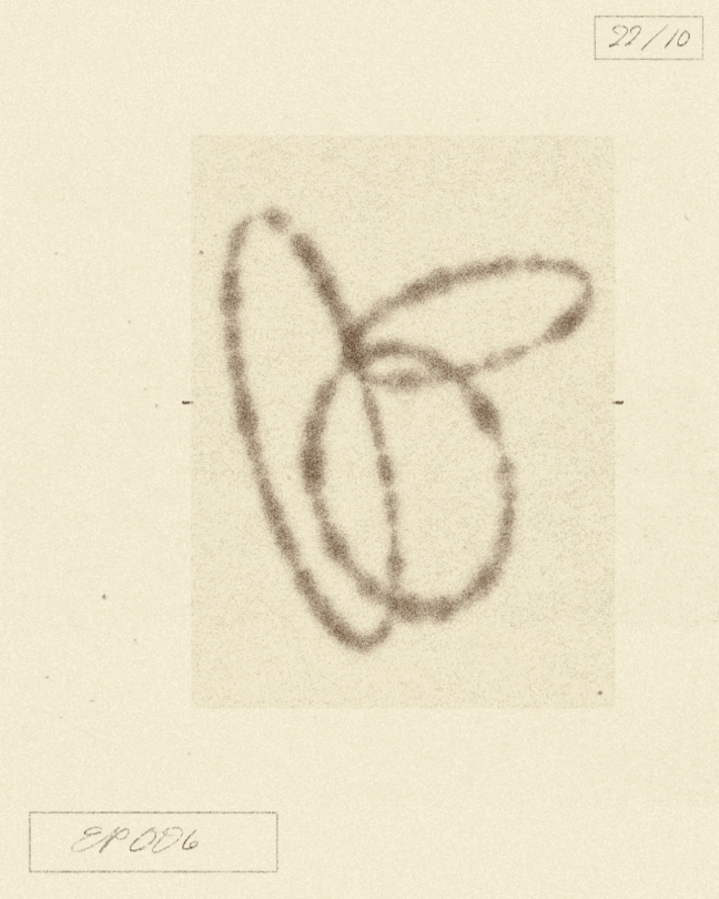 iris-wildros-ani-itsnicethat08