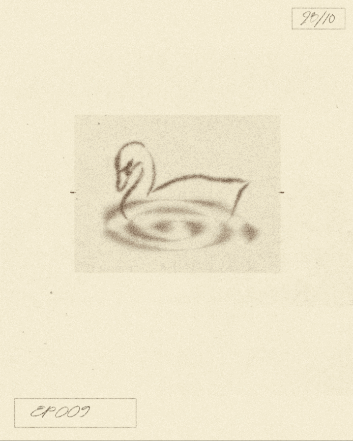 iris-wildros-ani-itsnicethat09