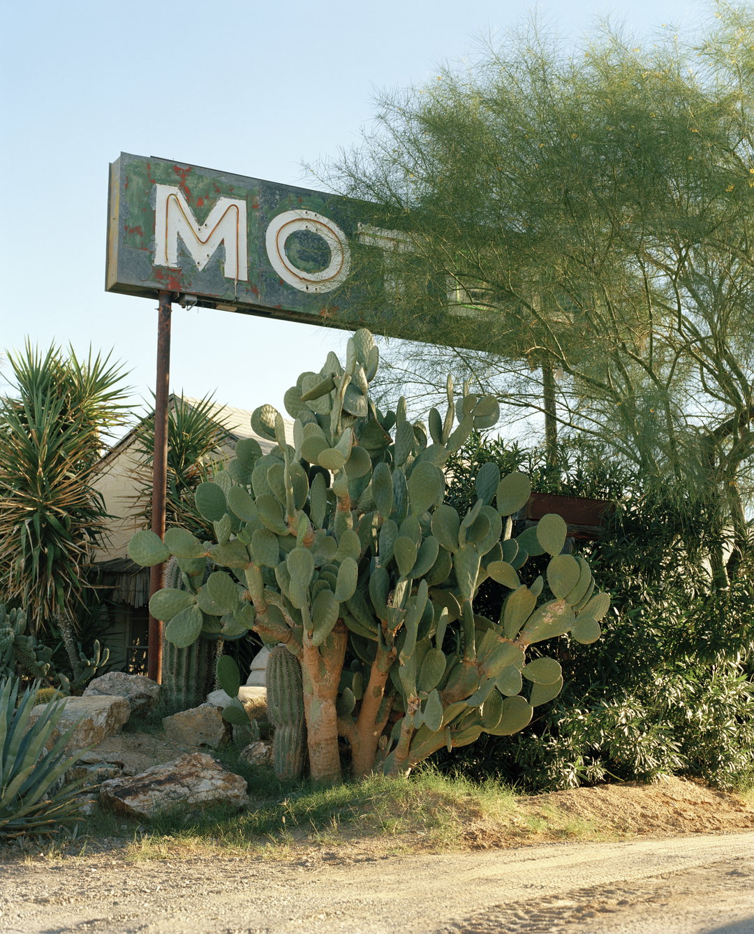 Dana-Stirling-WhyAmISad-photography-project-itsnicethat-05