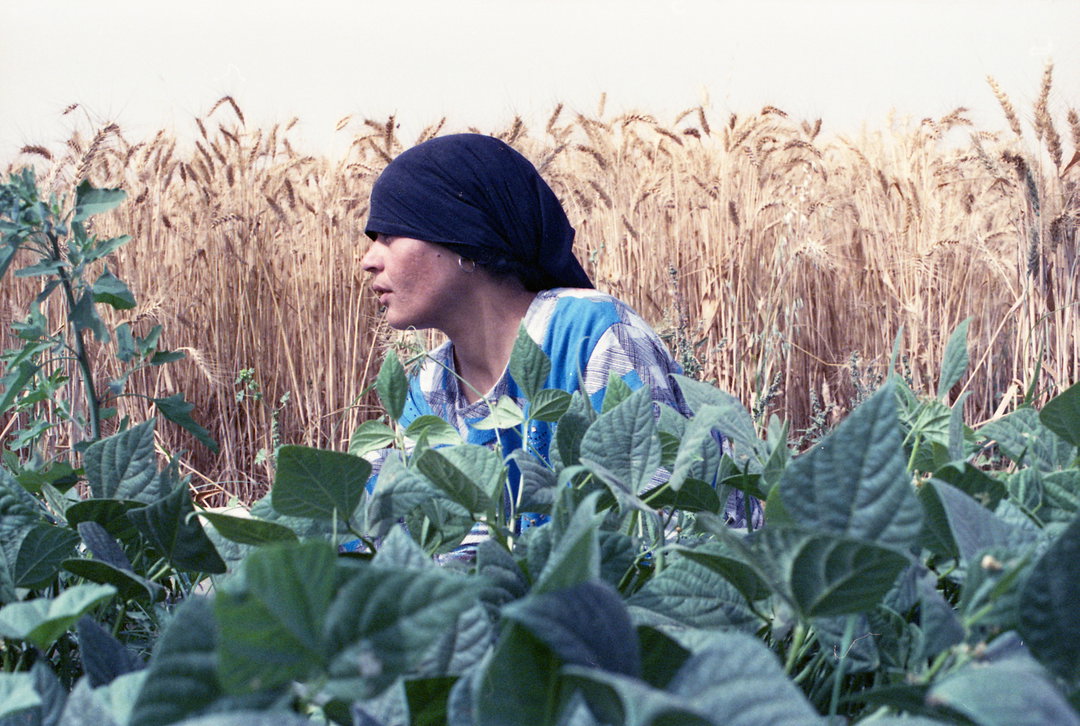 HanaGamal-GreenGrass-Photography-ItsNiceThat
