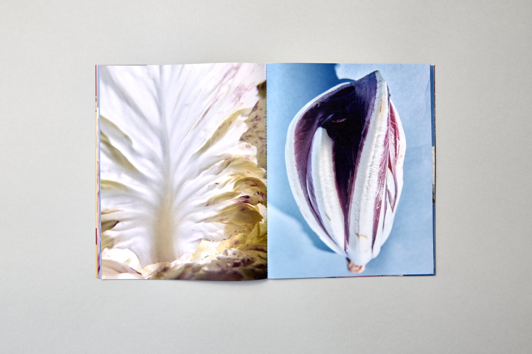 Anna-Sophia-John-Riccardo-Carrara-spicy-bitter-publication-itsnicethat-06