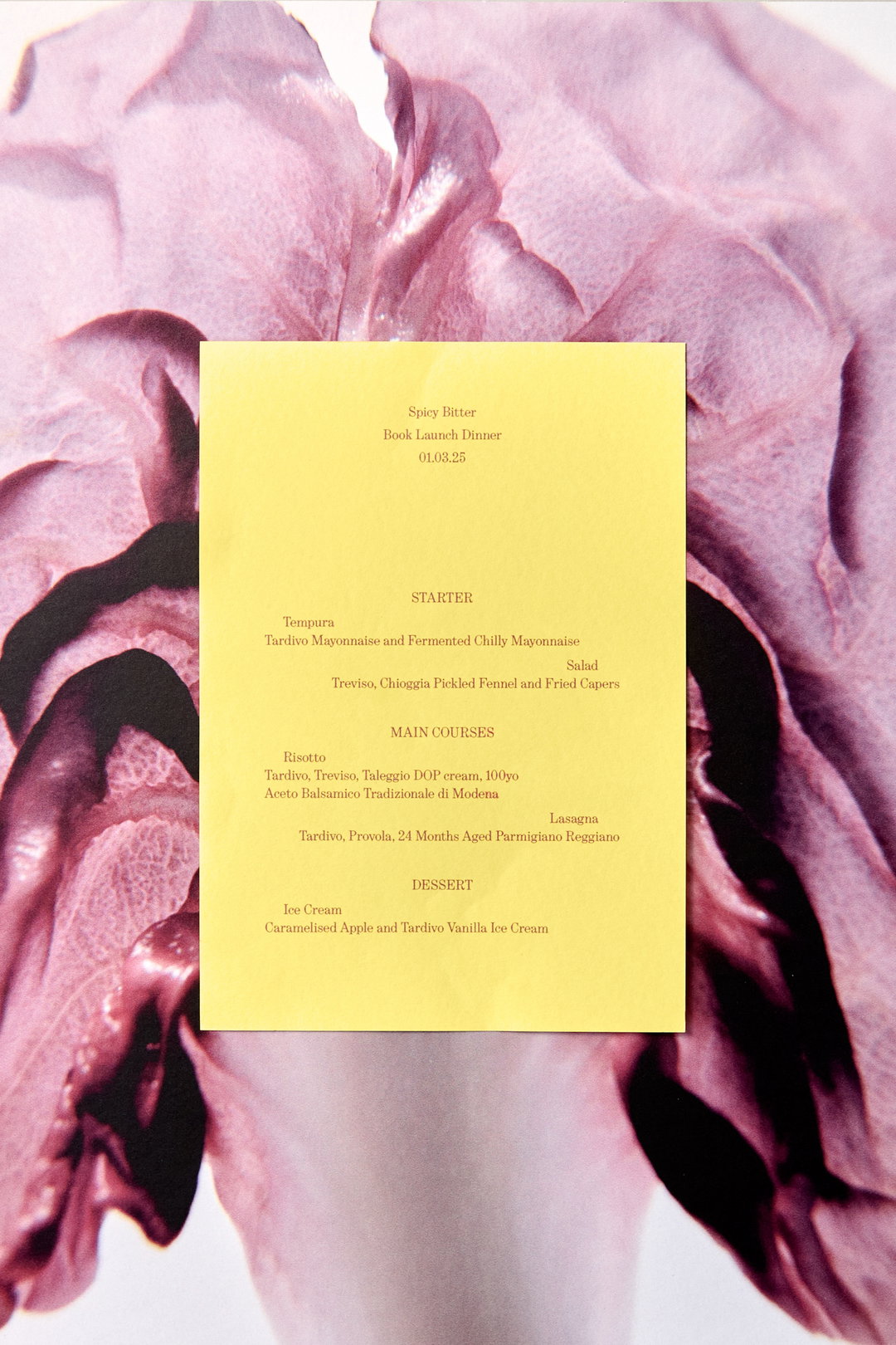 Anna-Sophia-John-Riccardo-Carrara-spicy-bitter-publication-itsnicethat-04