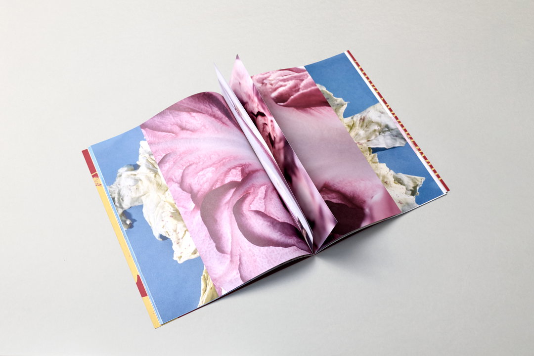Sweet Bitter studies the radicchio in an unfolding collage of its forms