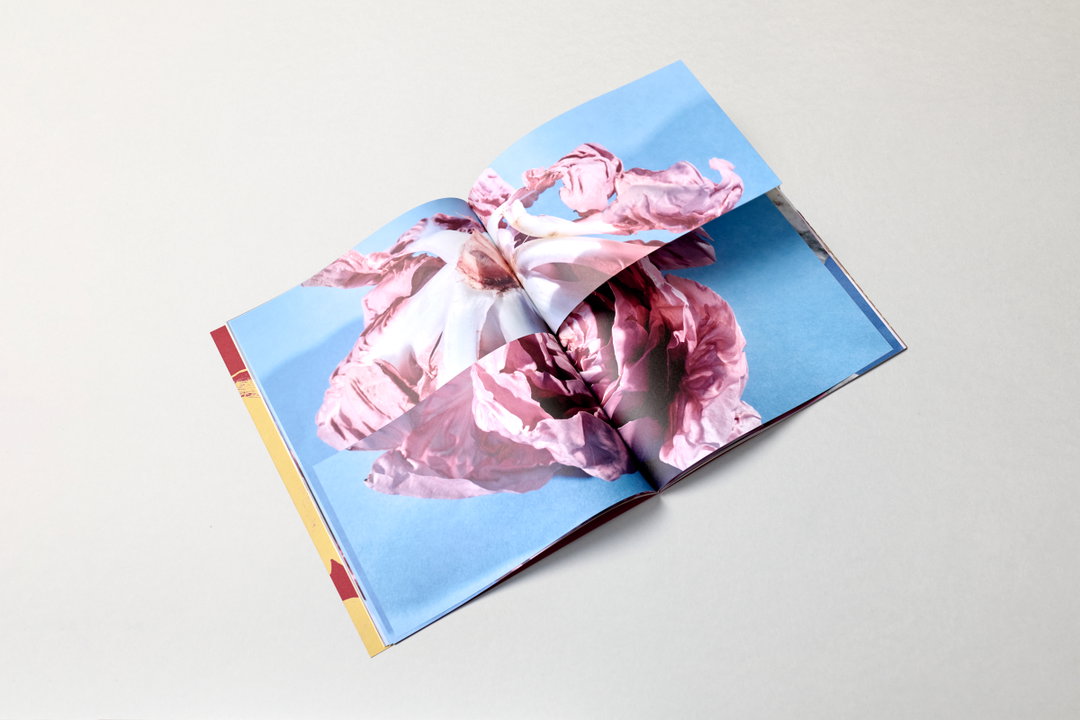 Anna-Sophia-John-Riccardo-Carrara-spicy-bitter-publication-itsnicethat-09