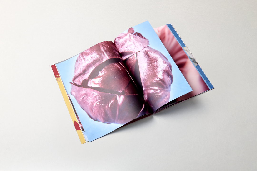 Anna-Sophia-John-Riccardo-Carrara-spicy-bitter-publication-itsnicethat-10