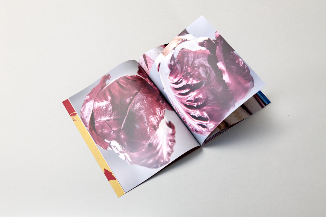 Anna-Sophia-John-Riccardo-Carrara-spicy-bitter-publication-itsnicethat-12