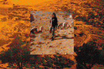 26glorianna-ximendaz-photography-itsnicethat.gif