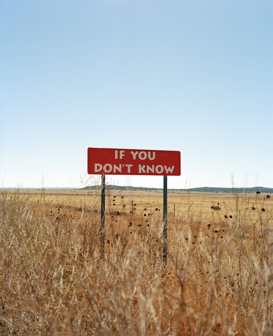 Dana-Stirling-WhyAmISad-photography-project-itsnicethat-08