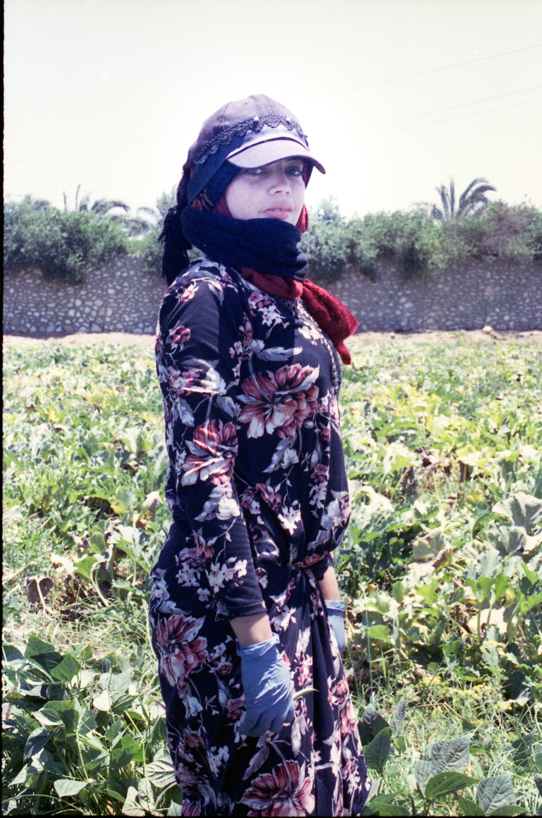 HanaGamal-GreenGrass-Photography-ItsNiceThat