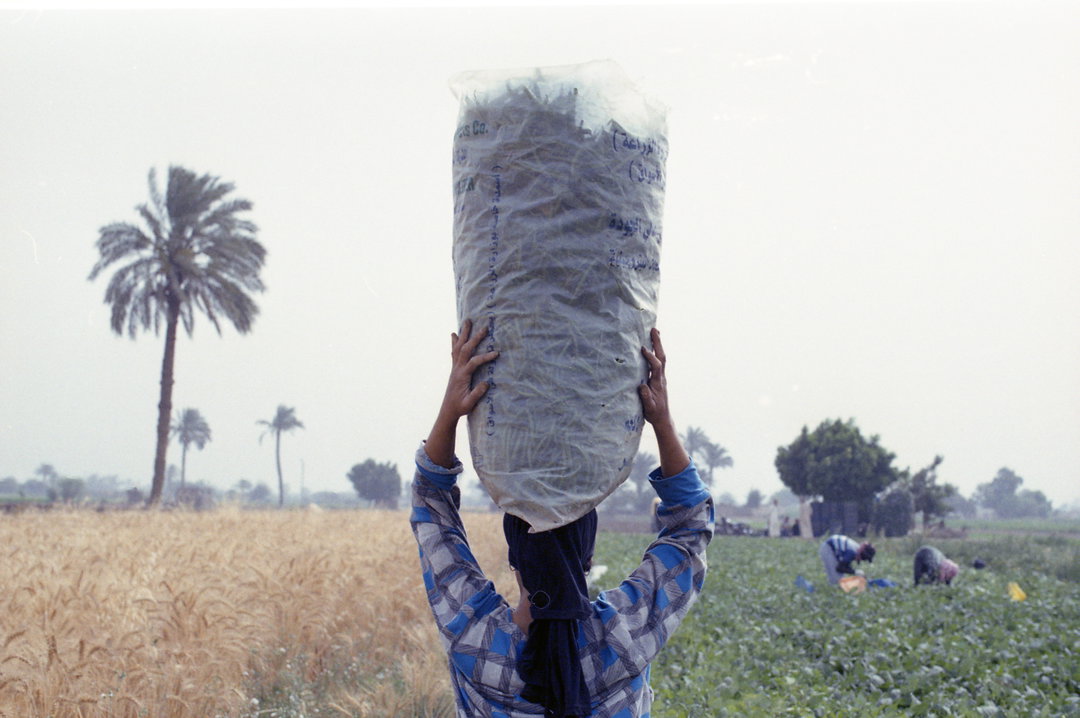 HanaGamal-GreenGrass-Photography-ItsNiceThat