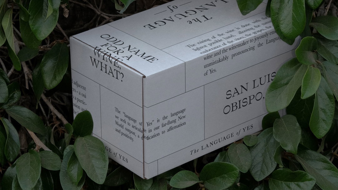 3_Public-Address-The-Language-of-Yes-Shipper_graphic design_itsnicethat.jpg