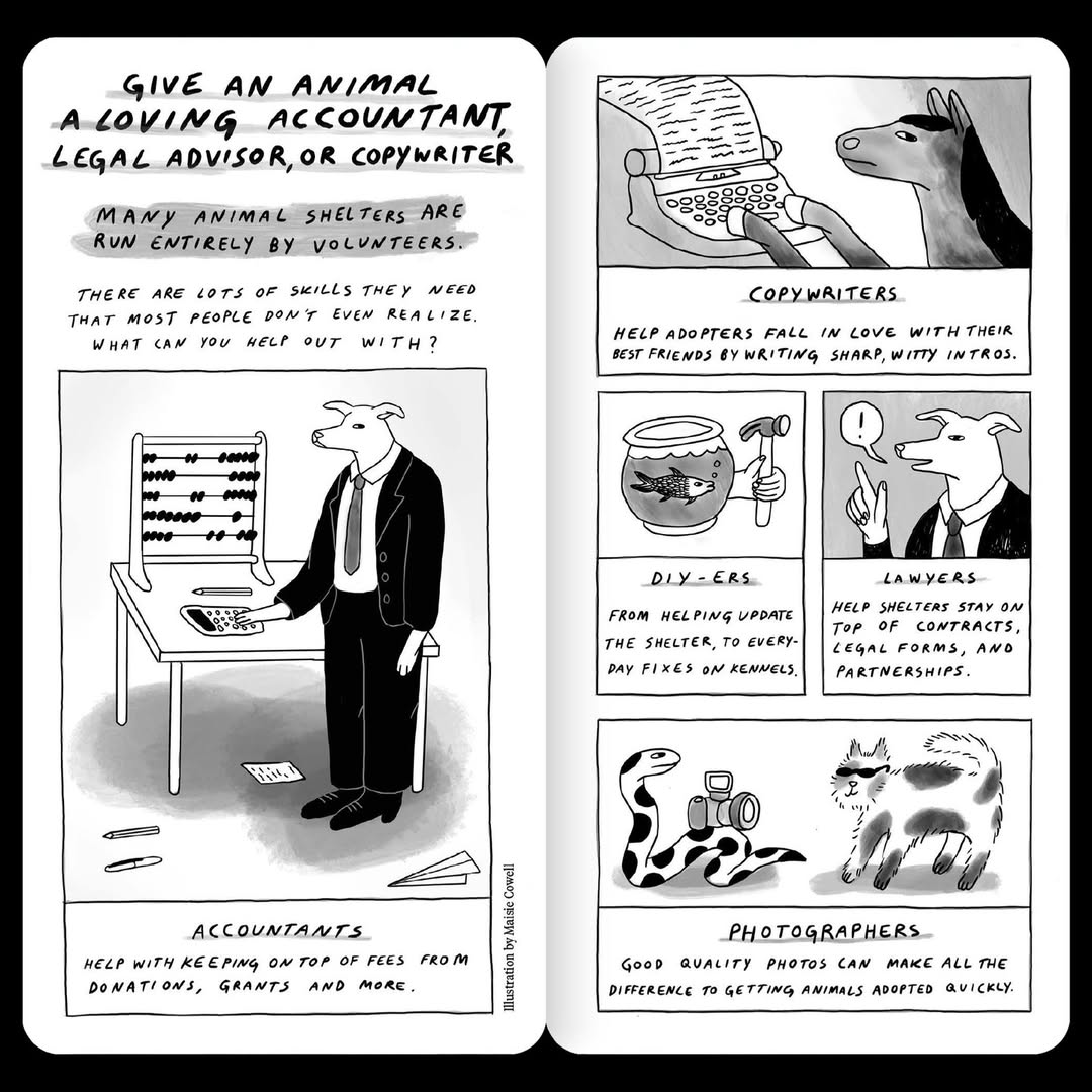 Hinge_Phone Book_2
