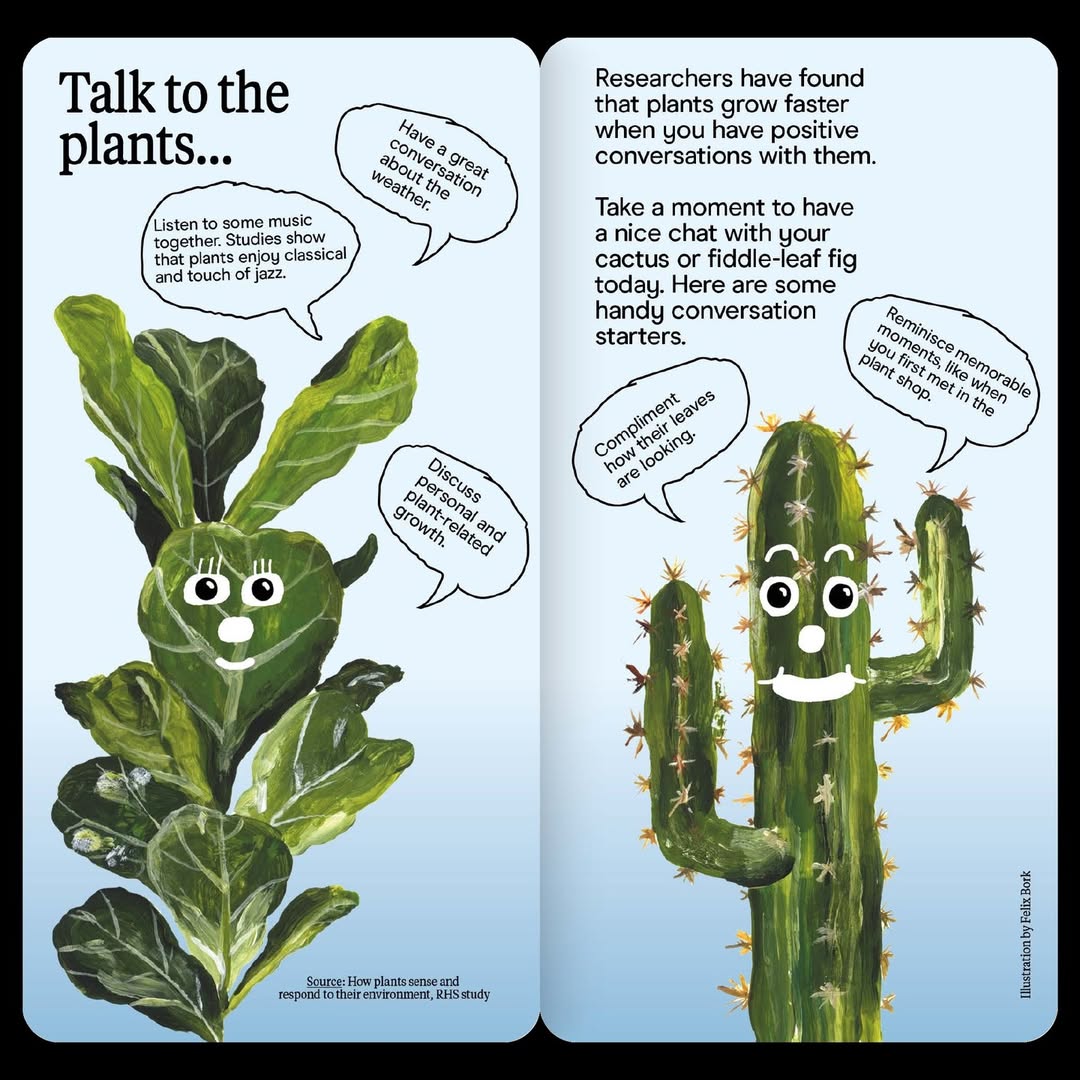 Hinge_Phone Book_3