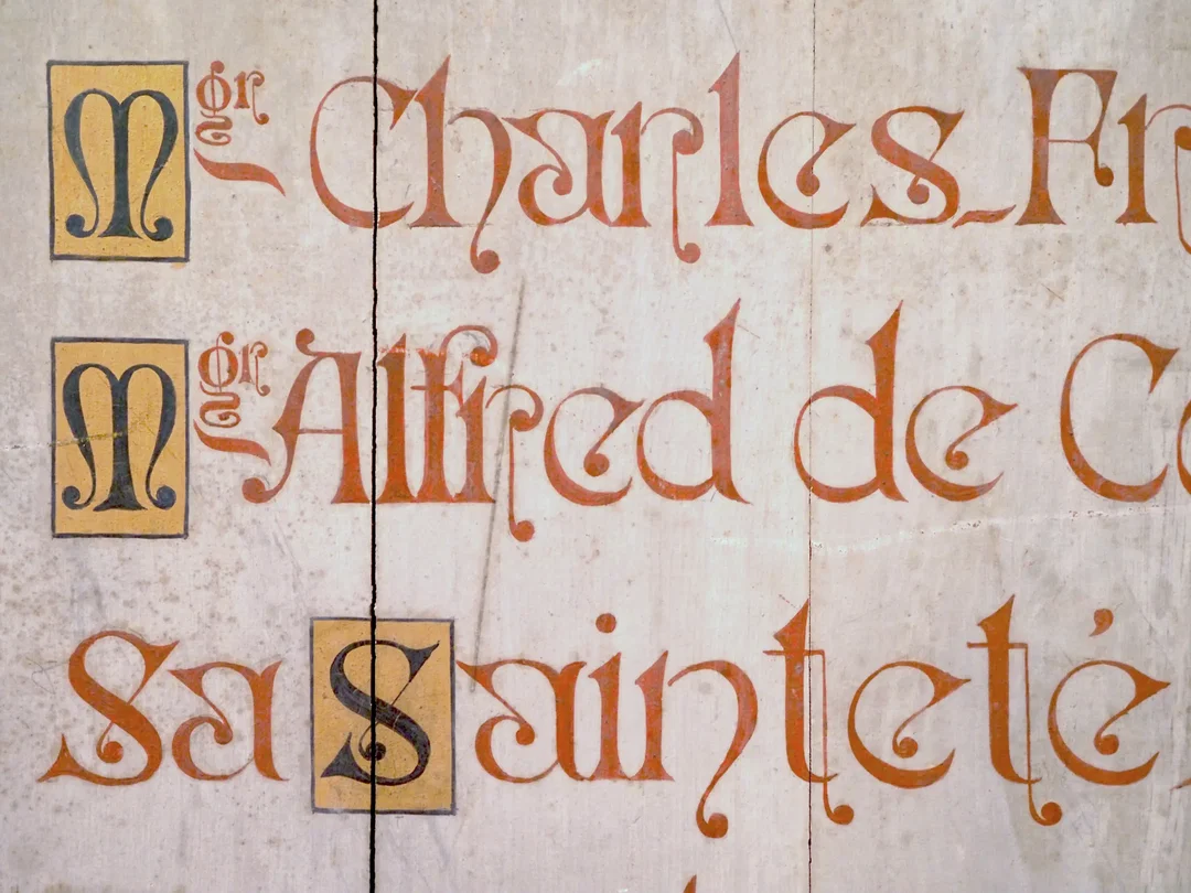 Sharp Type Rosalie research
