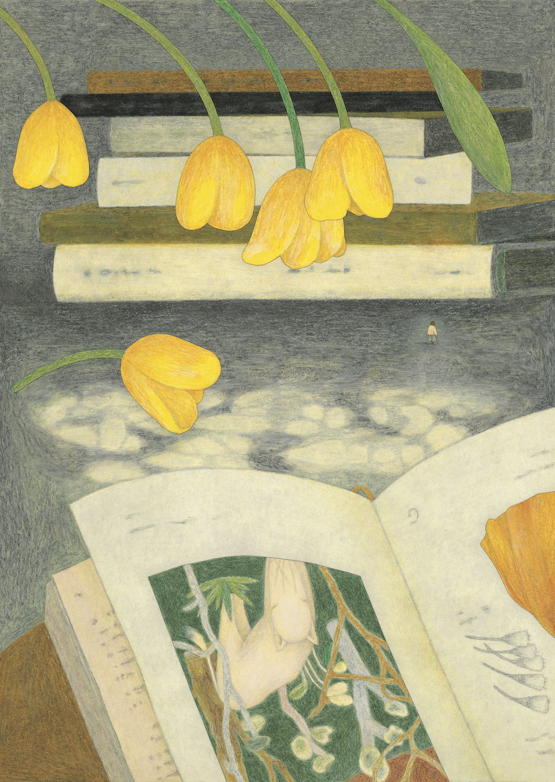 jinhee-lee-illo-itsnicethat09