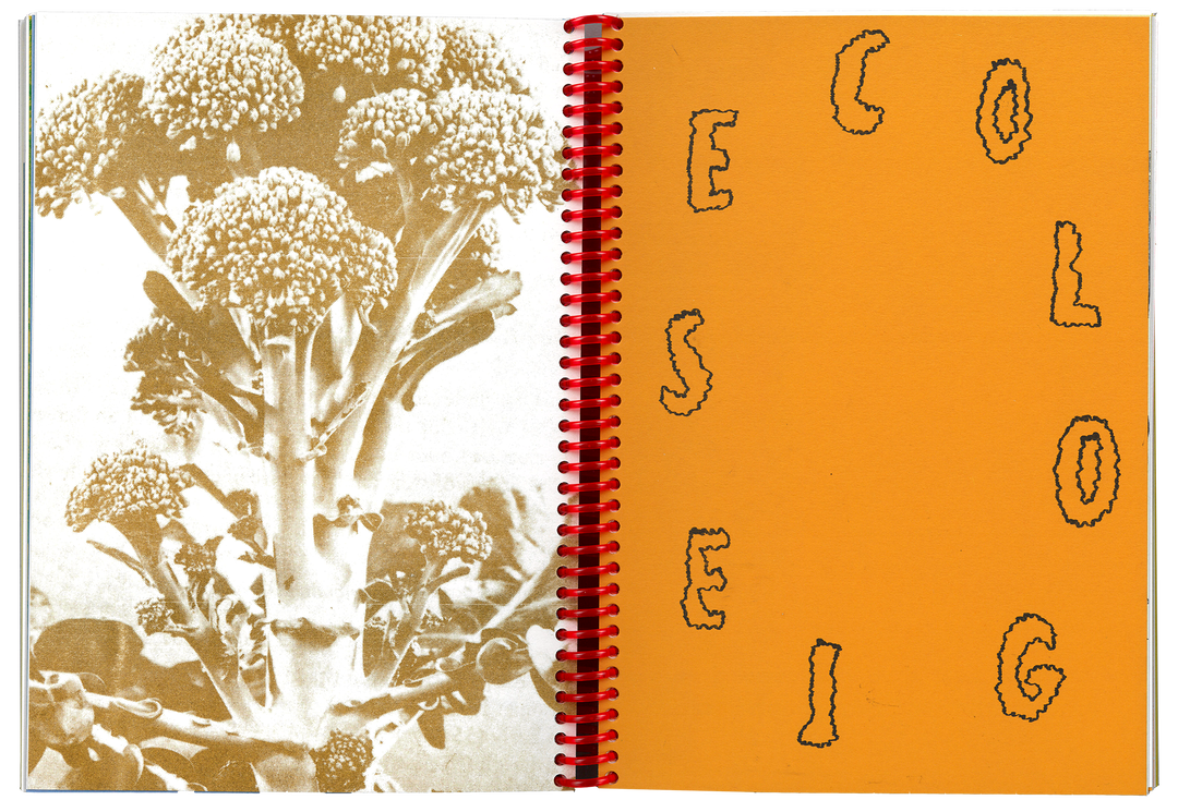 holly-eliza-temple-gd-itsnicethat10