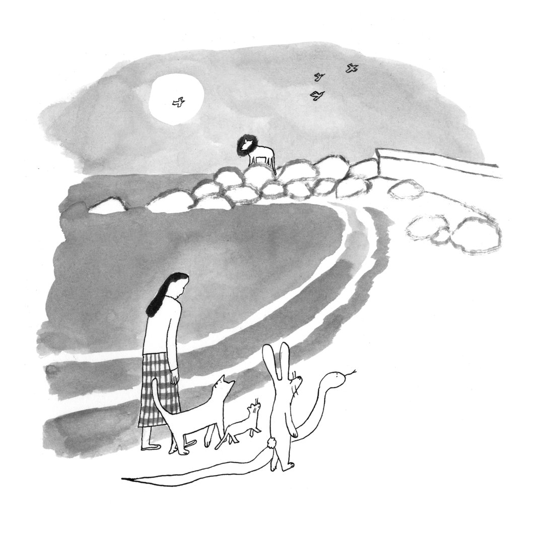 4 Charlotte ager, Illustration from zoo,2022.jpg
