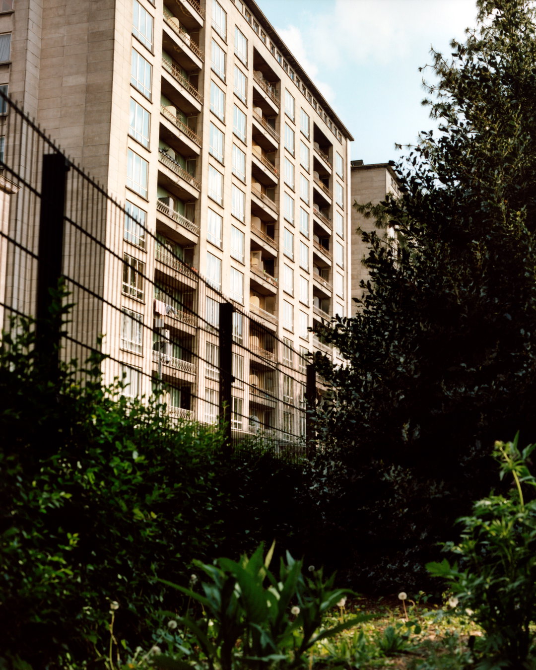 elizar-veerman-pho-itsnicethat02