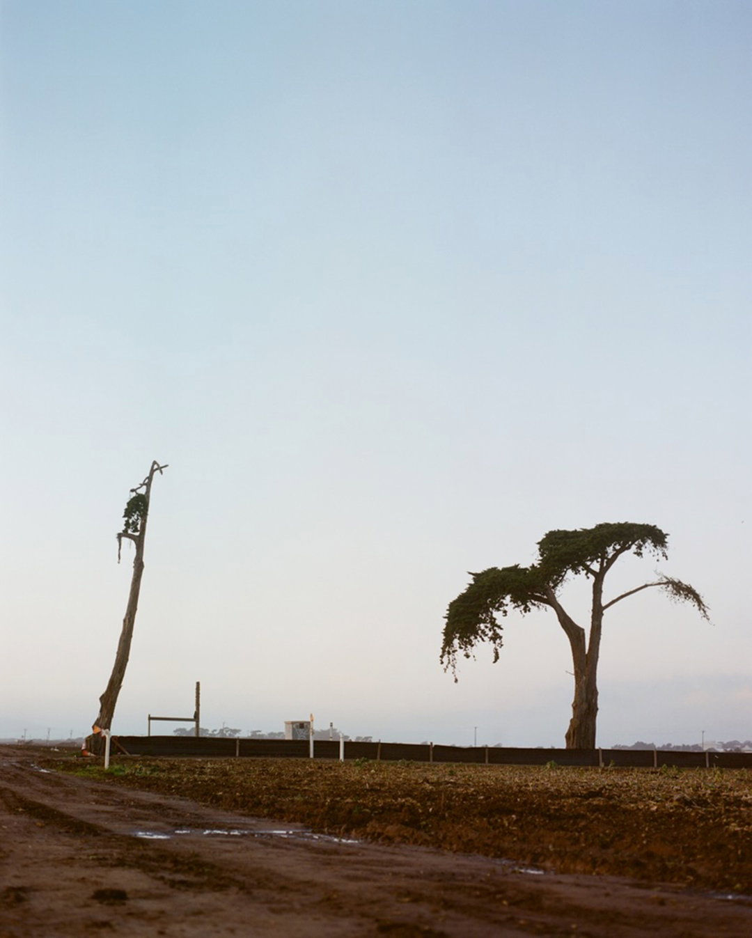 samantha-jensen-photography-itsnicethat-03
