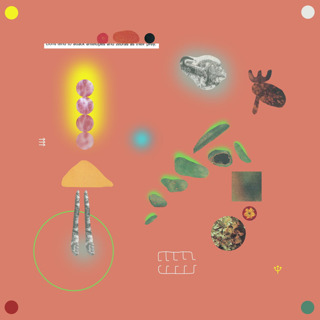 csenge-csató-illustration-discover-itsnicethat-03