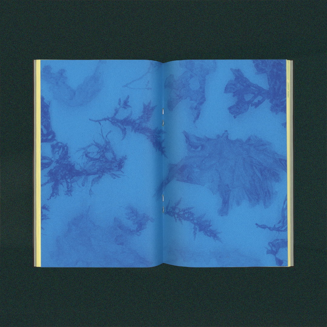 julie-legrand-nina-izycka-illustration-project-itsnicethat-04