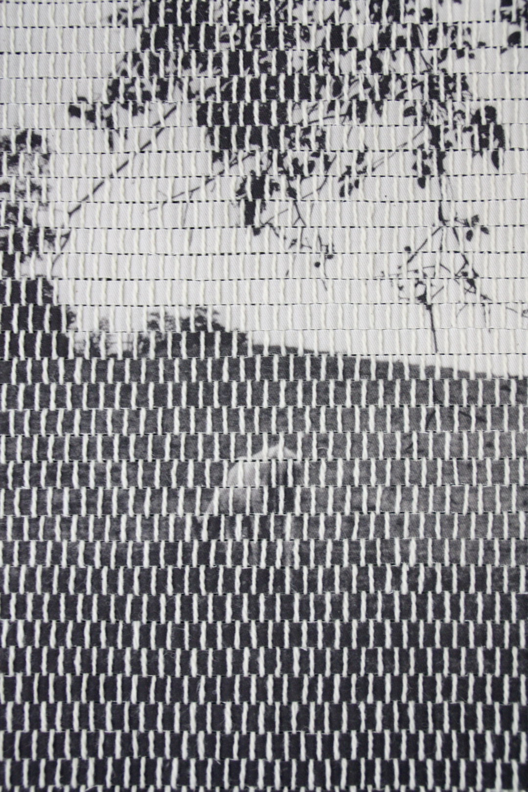 kayla-dantz-photography-discover-itsnicethat-04
