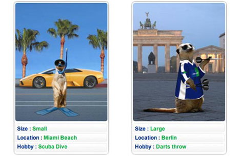 comaprethemeercat.jpg