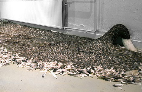 katemccgwire.jpg