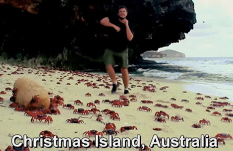 wherethehellismatt.jpg