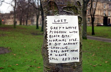 DAVIDSHRIGLEY.jpg