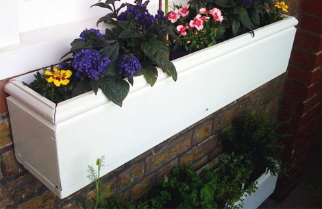 windowbox.jpg