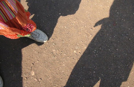 cockshadows.jpg