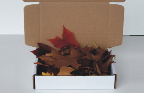 deadleaves.jpg