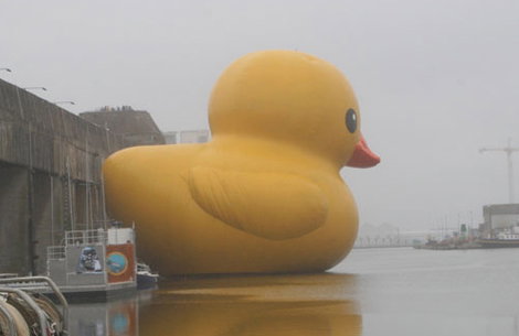 florentijnhofman.jpg