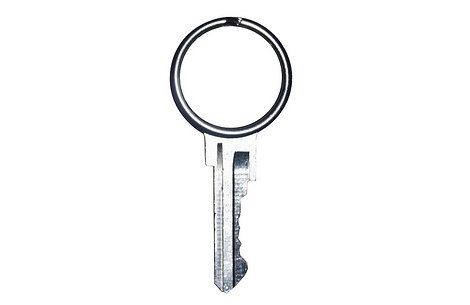 split_ring.jpg
