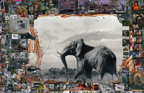 Peter Beard