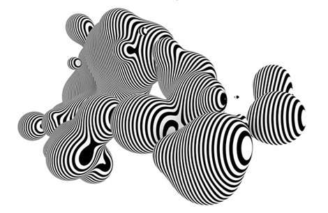 zebra.jpg