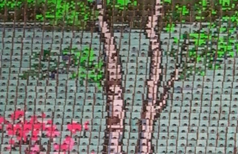 The Backdrop at The Mass Games in North Korea