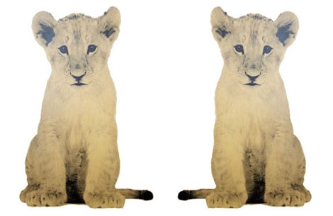 zoo.jpg
