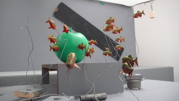 fish_film.jpg