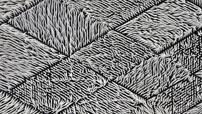 miranda_detail.jpg