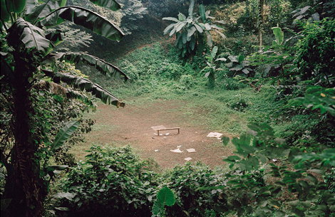davidhendra.jpg