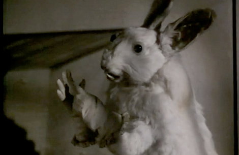 Jan Svankmajer