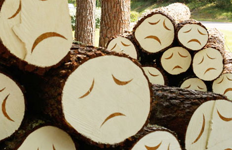poortrees.jpg
