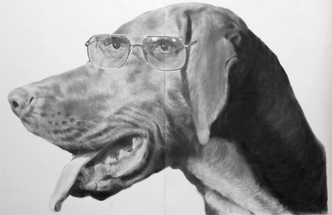 2009_4_eyed_dog.jpg