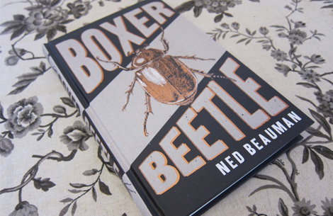 boxer-beetle.jpg