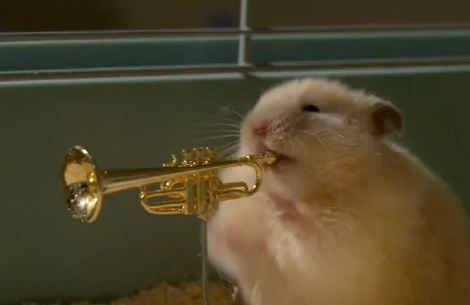 The Clever Hamsters