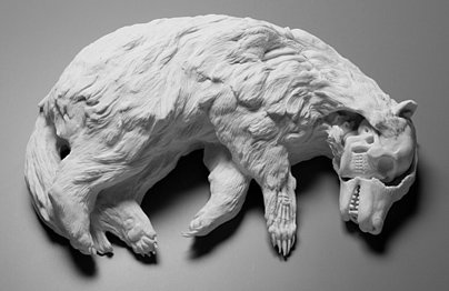 Kate MacDowell