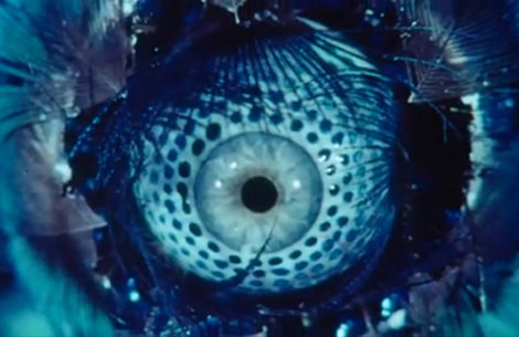 Alejandro Jodorowsky